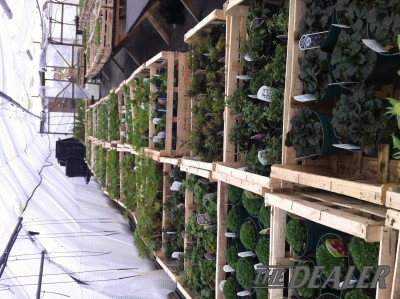 Images 1
