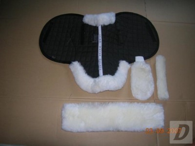 Images 3