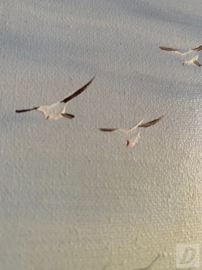 Images 7
