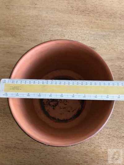 Images 3