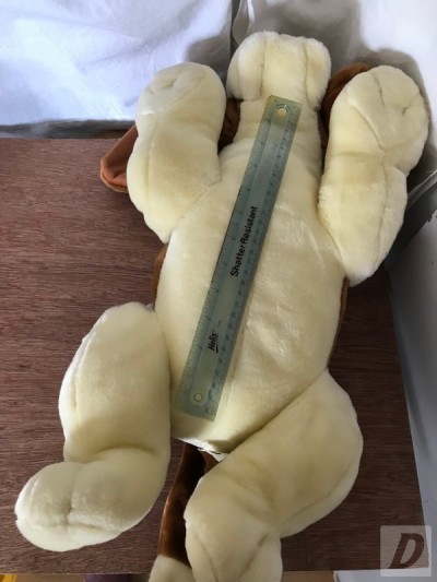Images 6