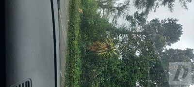 Images 0