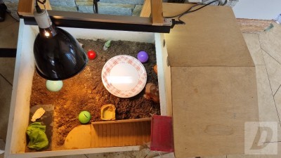 Images 3
