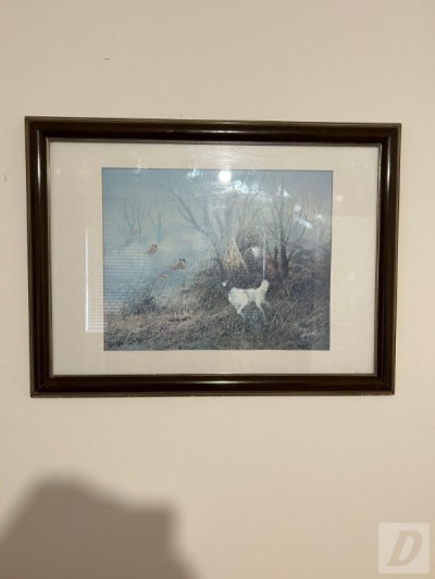Images 0