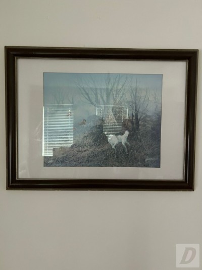 Images 4