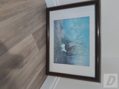 Images 9