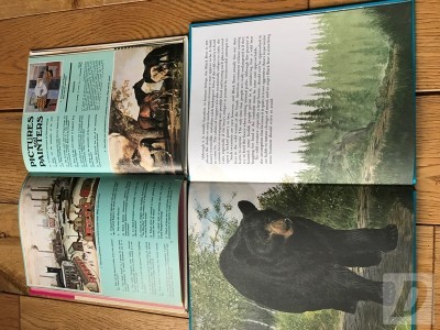 Images 2