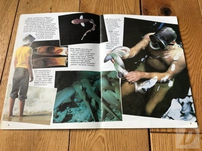 Images 3
