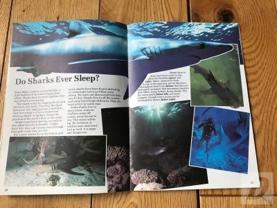 Images 4