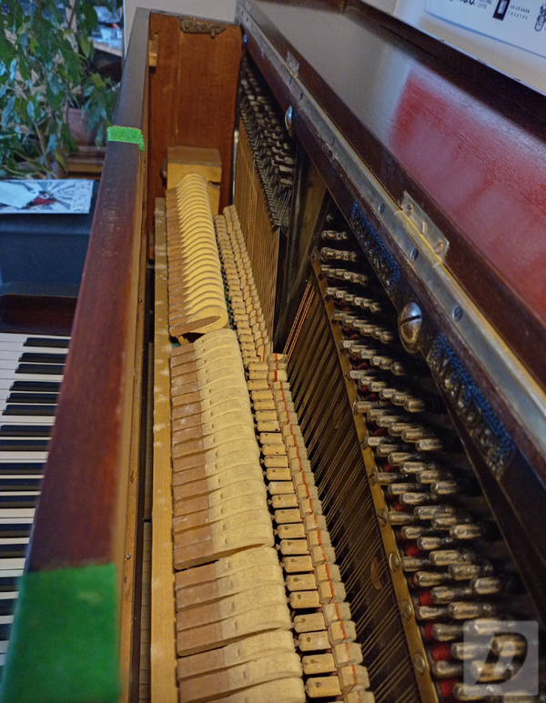 Images 5