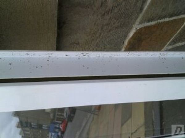 Images 2