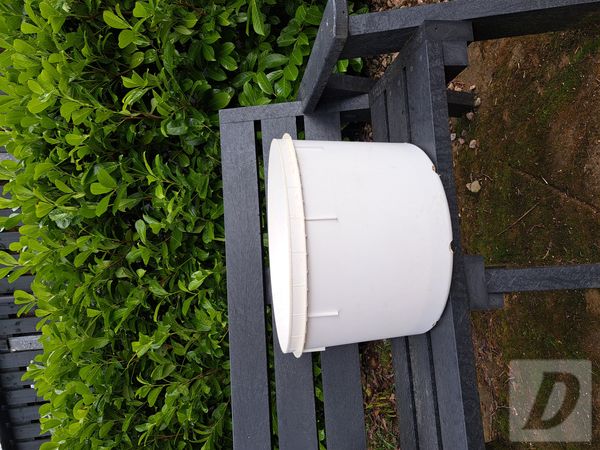 Images 1