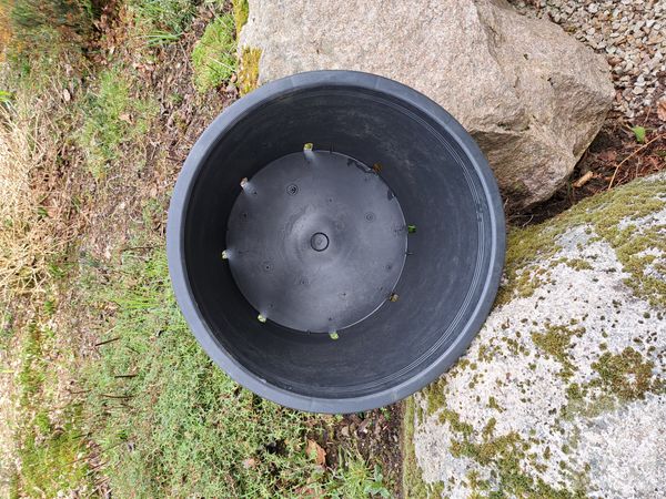 Images 1
