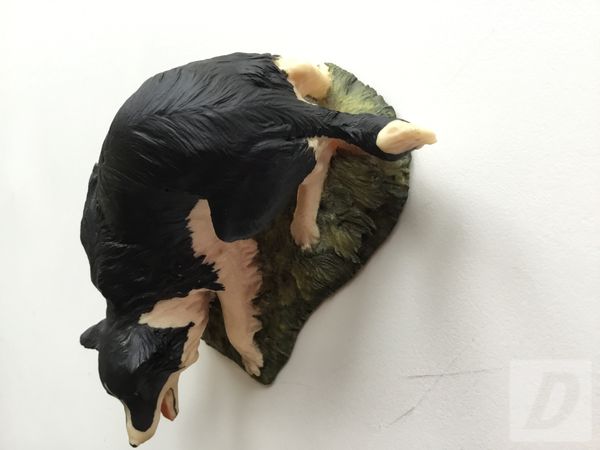 Images 1