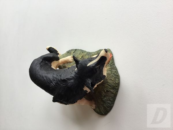 Images 3