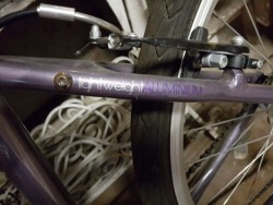 Images 2