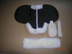 Images 3
