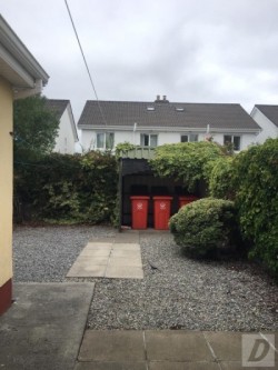 Images 1