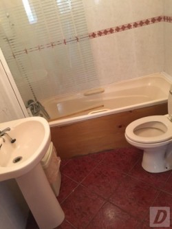 Images 9