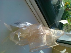 Images 5