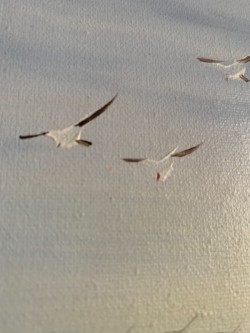 Images 7