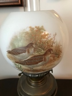 Images 7