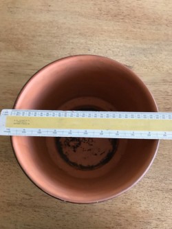 Images 3