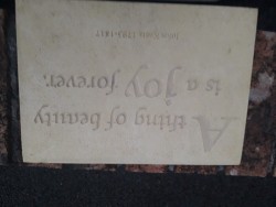 Images 5
