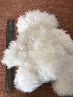Images 6