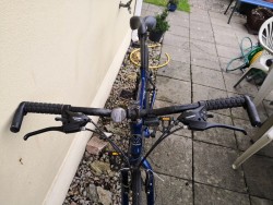 Images 10