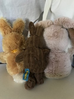 Images 7