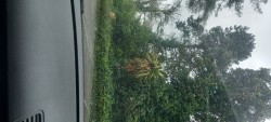 Images 0