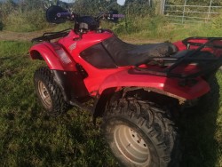 Images 6