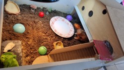 Images 2