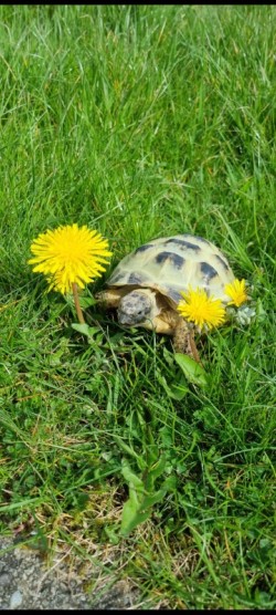 Images 5