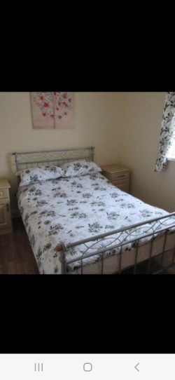 Images 3