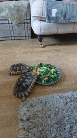 Images 0