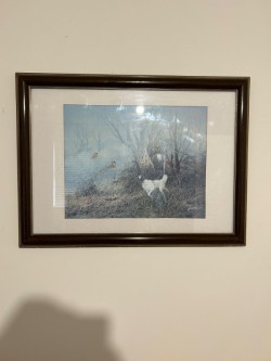 Images 0