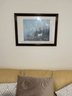 Images 1