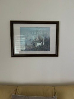 Images 2