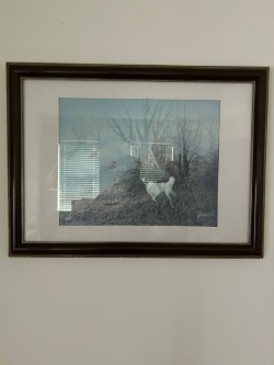 Images 4