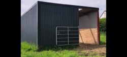 Images 2