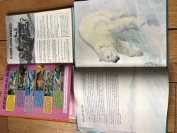 Images 1