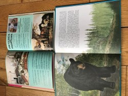 Images 2