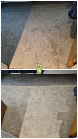 Images 3