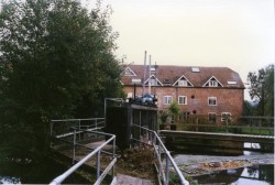 Images 3