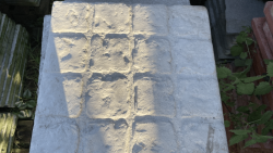 Images 4