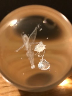 Images 4