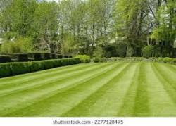 Images 0
