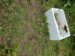 Images 1